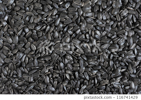Sunflower seeds background, closeup of roasted seeds. Close up of sunflower seeds as background, top view Sunflower seeds background, closeup of roasted seeds. Close up of sunflower seeds as background, top view 116741429