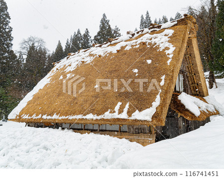 Daytime snowy landscape of the famous Gassho Zukuri Folk Village Daytime snowy landscape of the famous Gassho Zukuri Folk Village 116741451