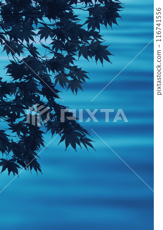 夏日清涼時刻,水面的漸層與楓葉的景色 夏日清涼時刻,水面的漸層與楓葉的景色 116741556