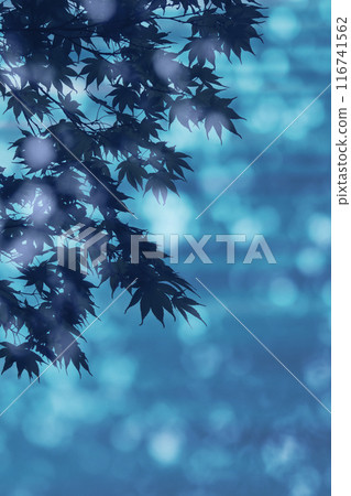 夏日清涼時刻,波光粼粼的水面和楓葉美景 夏日清涼時刻,波光粼粼的水面和楓葉美景 116741562