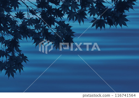 夏日清涼時刻，水面的漸層與楓葉的景色 116741564