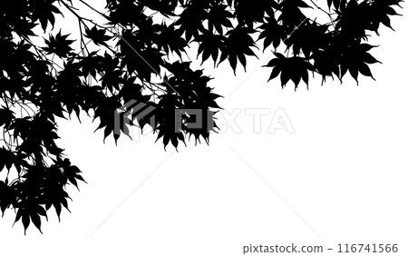 Cut-out leaves of Japanese maple, a seasonal image background 116741566