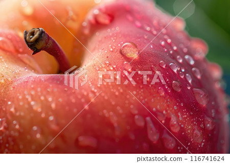 Vivid Close-up of Dew-Kissed Apple with Fresh Morning Water Droplets Vivid Close-up of Dew-Kissed Apple with Fresh Morning Water Droplets 116741624