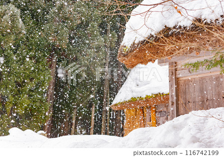 Daytime snowy landscape of the famous Gassho Zukuri Folk Village 116742199