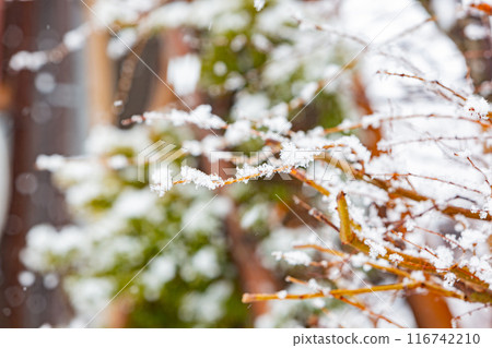 Daytime snowy landscape of the famous Gassho Zukuri Folk Village Daytime snowy landscape of the famous Gassho Zukuri Folk Village 116742210