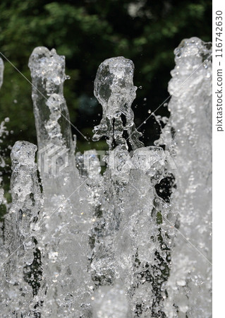 Scenery with a fountain: Water gushing out with force 116742630