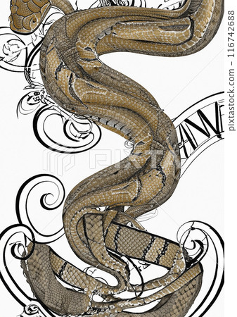 Snake image New Year's greetings New Year 116742688