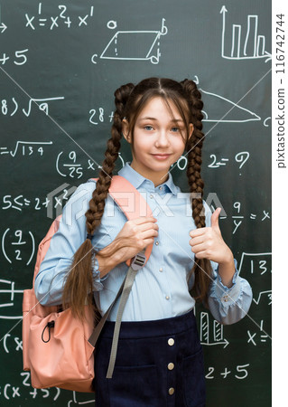 Portrait of a schoolgirl with dark brown hair, teenage student in a school office Portrait of a schoolgirl with dark brown hair, teenage student in a school office 116742744