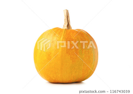 Fresh orange pumpkin isolated on white background Fresh orange pumpkin isolated on white background 116743039
