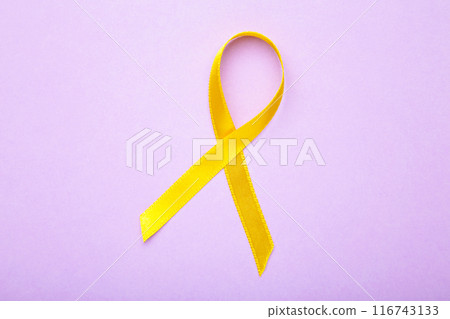 Yellow awareness ribbon on purple pastel background with copy space. Yellow awareness ribbon on purple pastel background with copy space. 116743133