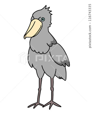 Simple illustration of a shoebill 116743335