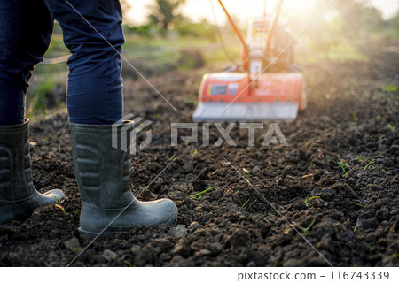 Farmer Using Rotary Tiller on a Plowed Field at Dawn 116743339