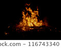 Night Fire Illuminates the Wild 116743340