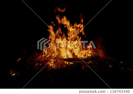 Night Fire Illuminates the Wild Night Fire Illuminates the Wild 116743340