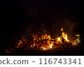 Night Fire Illuminates the Wild 116743341