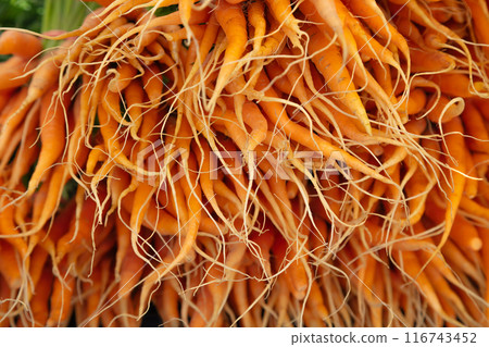 small carrots from the garden at the farm market 116743452