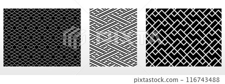 Geometric set of seamless black and white patterns. Simple vector graphics. Geometric set of seamless black and white patterns. Simple vector graphics. 116743488