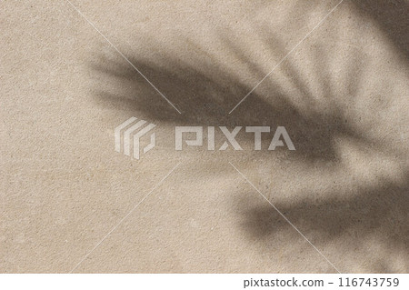 Shadows of palm leaves on beige limestone wall in sunlight. Abstract natural background, wallpaper background. Grunge texture backdrop. Floral shadows overlay. Minimal product placement Shadows of palm leaves on beige limestone wall in sunlight. Abstract natural background, wallpaper background. Grunge texture backdrop. Floral shadows overlay. Minimal product placement 116743759