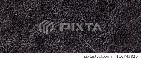 Lacquered black leather texture background with pattern, macro. Structure of textile backdrop Lacquered black leather texture background with pattern, macro. Structure of textile backdrop 116743829