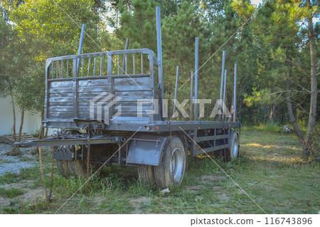 A logging truck with empty trailers drives forward along the highway against a background of forest and blue sky A logging truck with empty trailers drives forward along the highway against a background of forest and blue sky 116743896