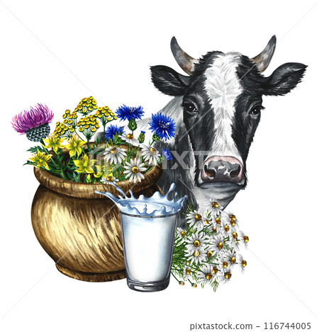 A wooden pot with wildflowers, a glass of milk and a cow. A hand-drawn watercolor illustration. Isolated. For packaging and labels. For banners and flyers, packaging with labels of dairy products. 116744005