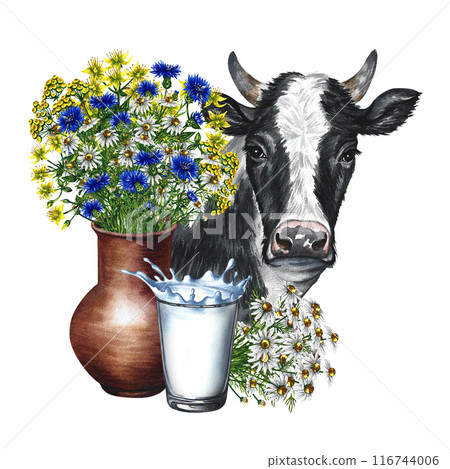 A clay pot with wildflowers, a glass of milk and a cow. A hand-drawn watercolor illustration. Isolated. For packaging and labels. For banners and flyers, packaging with labels of dairy products. 116744006