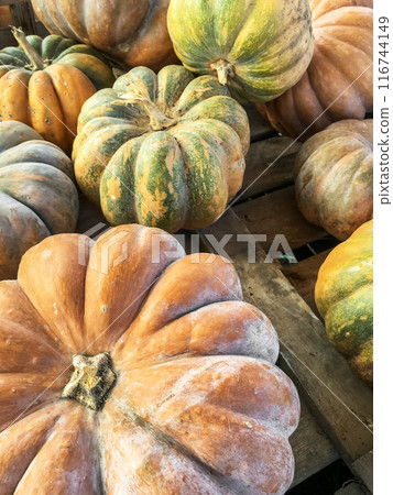 Pumpkins 116744149