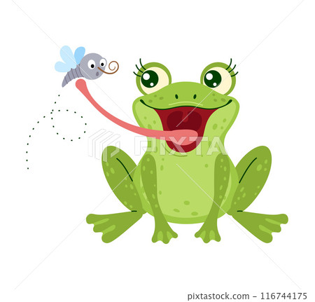 Cartoon cute frog with big eyes catching fly with tongue, flat style Cartoon cute frog with big eyes catching fly with tongue, flat style 116744175