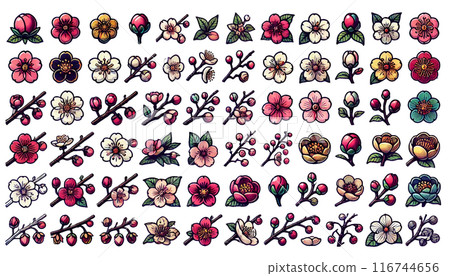 不同花期的梅花插畫集 116744656