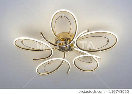 Modern Elegant Golden LED Flower Ceiling Light 116745060