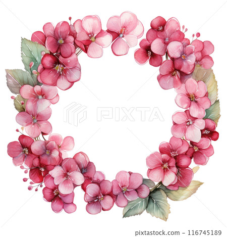 Bergenia, isolated on transparent background Bergenia, isolated on transparent background 116745189