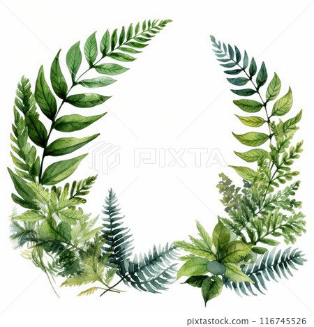 Fern Leaf isolated on white background 116745526