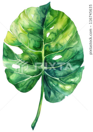 Philodendron Leaf, Watercolor tropical Border, watercolor illustration, 116745635