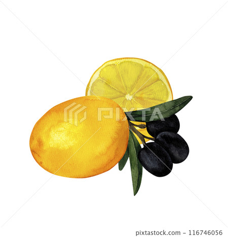 Olive branches and juicy lemons, Mediterranean citrus composition, hand-painted watercolor wall art for printing on invitations, labels, product packages, kitchen and restaurant design and decoration Olive branches and juicy lemons, Mediterranean citrus composition, hand-painted watercolor wall art for printing on invitations, labels, product packages, kitchen and restaurant design and decoration 116746056