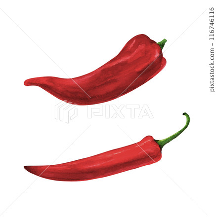 Red peppers, watercolor hand painted set, isolated on white background 116746116