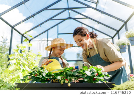 mother and daughter are gardening in the greenhouse 116746250