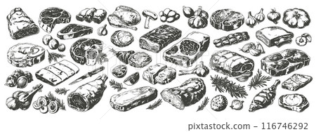 Raw meat sketches. Beef steak drawing vintage butcher menu, uncooked product lamb rib ham slice pig sirloin with garlic rosemary for bbq grill, engraved set vector illustration Raw meat sketches. Beef steak drawing vintage butcher menu, uncooked product lamb rib ham slice pig sirloin with garlic rosemary for bbq grill, engraved set vector illustration 116746292