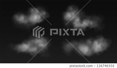 Fog or smoke isolated on transparent background. Realistic smog, haze, mist or cloudiness effect. Fog or smoke isolated on transparent background. Realistic smog, haze, mist or cloudiness effect. 116746358