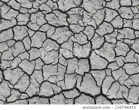 Cracks in the soil Cracks in the soil 116746433