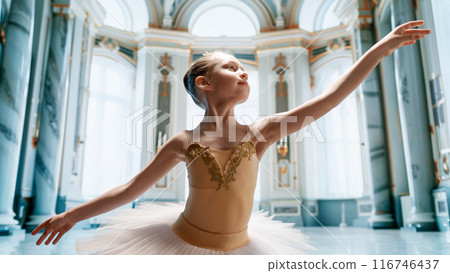 girl in a tutu dancing in the ball room girl in a tutu dancing in the ball room 116746437