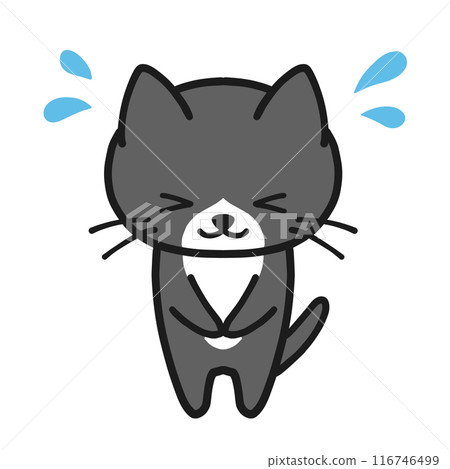 A black, brown-haired cat bowing impatiently 116746499