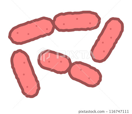 小腸結腸炎耶爾森菌 116747111
