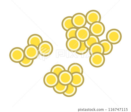 Staphylococcus aureus 116747115