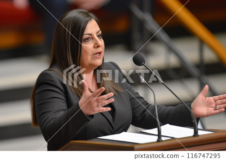 Parliamentary Debate: Formal Attire and Gestures of Political Rhetoric 116747295