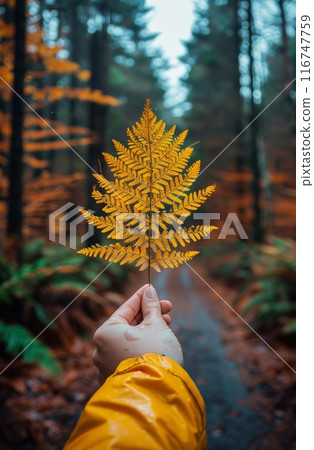 Holding an Autumn Fern in the Woods Holding an Autumn Fern in the Woods 116747759