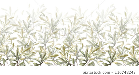 Olive tree branch, fruitless with green leaves. Watercolor botanical seamless border, pattern. Hand drawn nature leaf illustration for food oil label paper, wallpaper, fabric on isolated background 116748242
