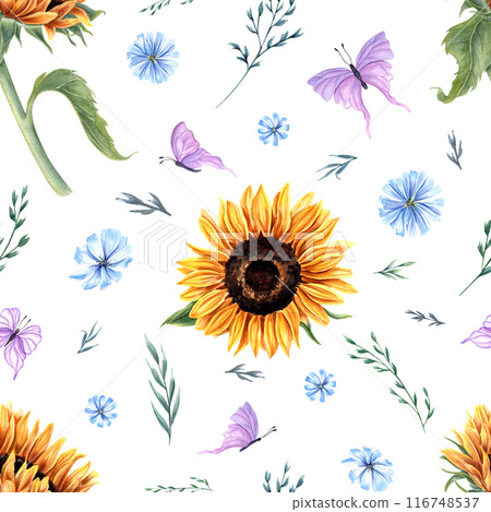 Sunflowers, chicory, herbs and butterflies. Summer flowers with fluttering pink insect. Seamless pattern with meadow wildflowers. Watercolor illustration. For textile, wrapping, scrapbook 116748537