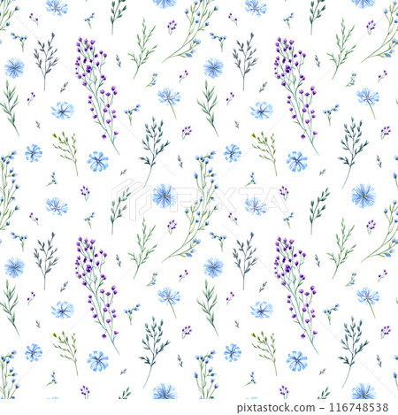 Meadow flowers and herbs. Seamless pattern of aromatic wildflowers. Blue and purple flower, green spikelet. Spring, summer greenery. Watercolor illustration. For wedding textile, wrapping, scrapbook 116748538