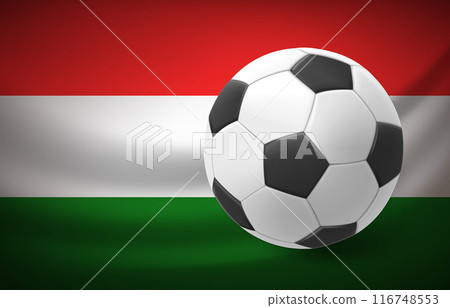 Flag of Hungary with soccer ball. National football team concept. 3d vector illustration Flag of Hungary with soccer ball. National football team concept. 3d vector illustration 116748553