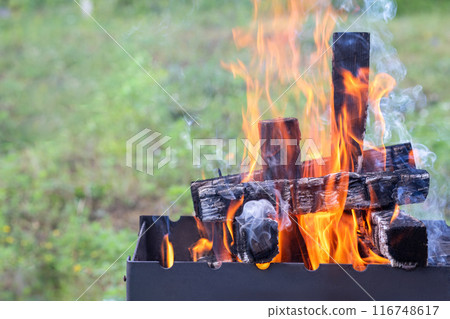 Blazing firewood against a blurred background . Blazing firewood against a blurred background . 116748617
